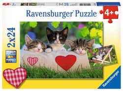 Puzzle: Sleepy Kittens (ONLINE ORDER ONLY)