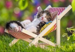Puzzle: Sleepy Kittens (ONLINE ORDER ONLY)