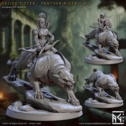 3D Printed Artisan Guild Panther Riders Veiled Sisterhood Set 28mm 32mm (Online Only)