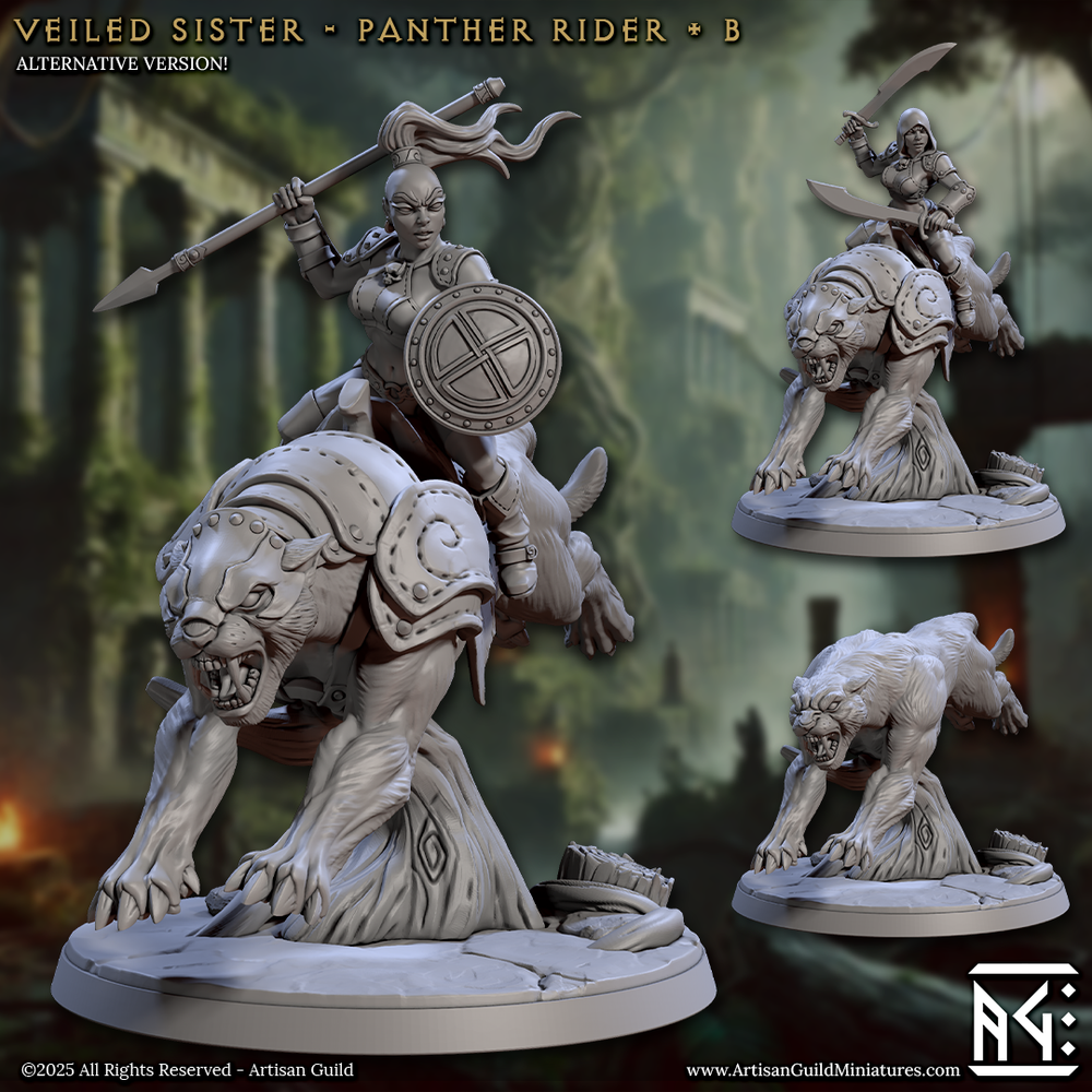 3D Printed Artisan Guild Panther Riders Veiled Sisterhood Set 28mm 32mm (Online Only)