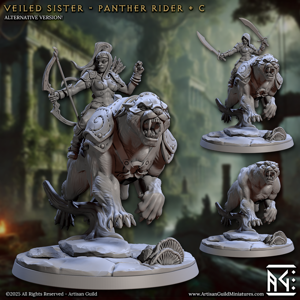 3D Printed Artisan Guild Panther Riders Veiled Sisterhood Set 28mm 32mm (Online Only)
