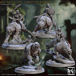 3D Printed Artisan Guild Panther Riders Veiled Sisterhood Set 28mm 32mm (Online Only)