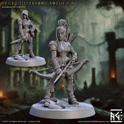 3D Printed Artisan Guild Veiled Sisterhood Rogues Veiled Sisterhood Set 28mm 32mm (Online Only)