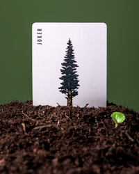 Limited Brown Edition Smokey Bear Playing Cards (ONLINE ORDER ONLY)