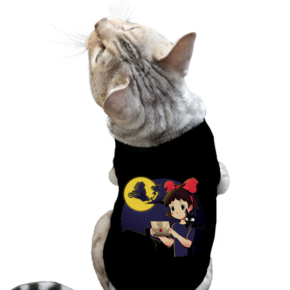 You Have Been Accepted (Online Order Only)