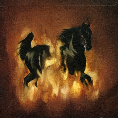 The Besnard Lakes Are The Dark Horse [CD]