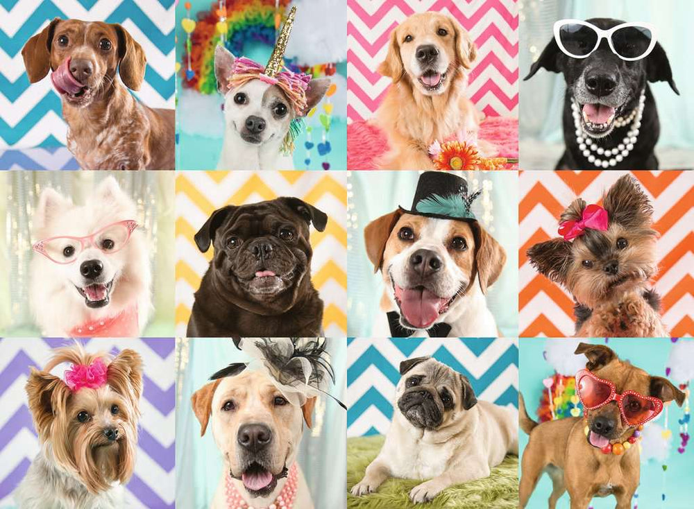 Puzzle: Doggy Disguise (ONLINE ORDER ONLY)