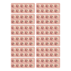 10 Frame Fidgets (Set of 12) (ONLINE ORDER ONLY)