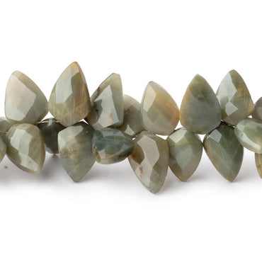 10x6-13x8mm Cat's Eye Quartz Faceted Shield Beads 8 inch 60 pieces (ONLINE ORDER ONLY)