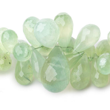 11-29mm Prehnite Beads Tear Drop Briolette 8 inch 57 pieces (ONLINE ORDER ONLY)