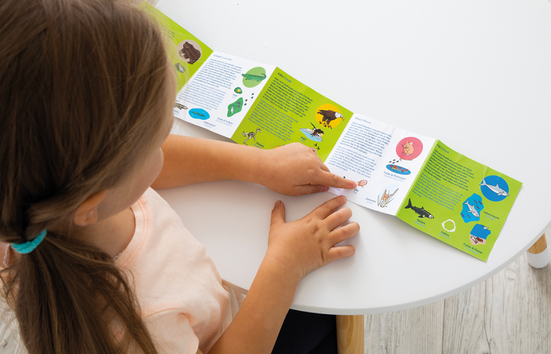 Animal Species Puzzle (ONLINE ORDER ONLY)