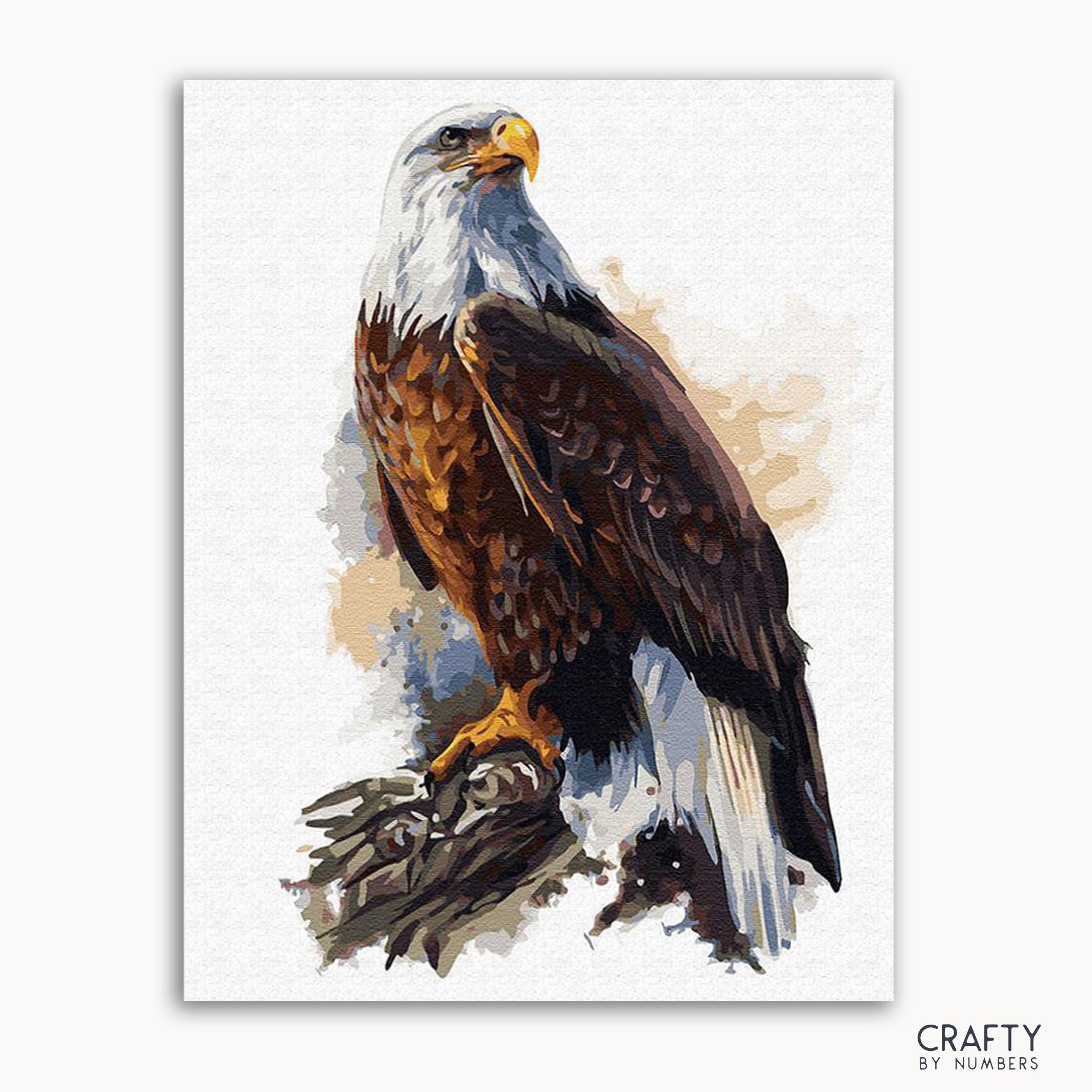 Bald Eagle (ONLINE ORDER ONLY)