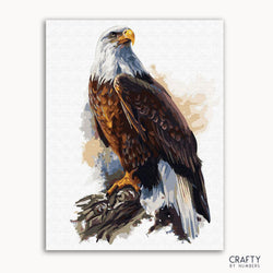 Bald Eagle (ONLINE ORDER ONLY)