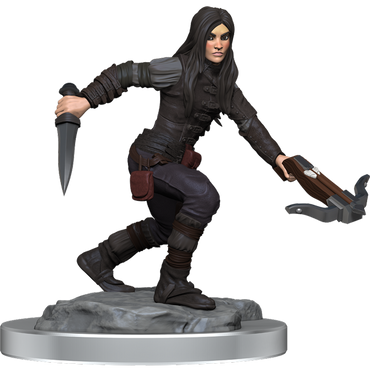 D&D Nolzur's Marvelous Miniatures: Half-Elf Rogue Female (Online Order Only)