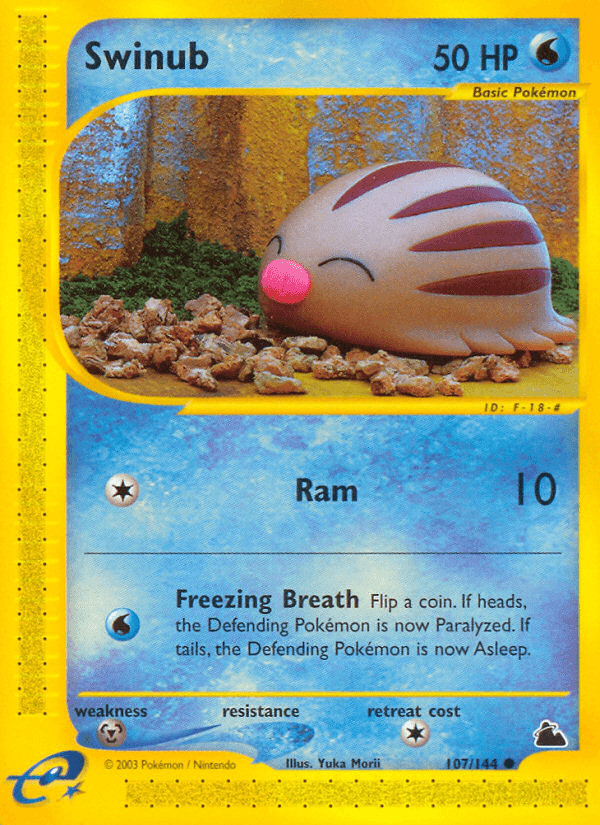 Swinub (107/144) [Skyridge] (Online Only)