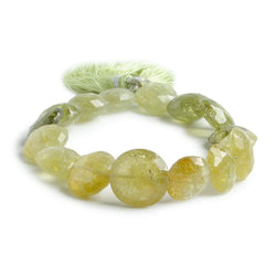 12-14mm Grossular Garnet Beads Faceted Coin 8 inch 16 pieces (ONLINE ORDER ONLY)