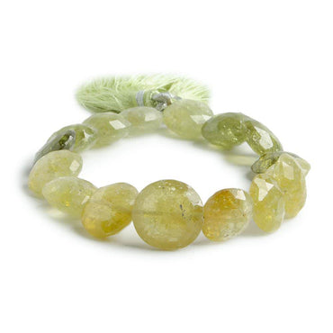 12-14mm Grossular Garnet Beads Faceted Coin 8 inch 16 pieces (ONLINE ORDER ONLY)