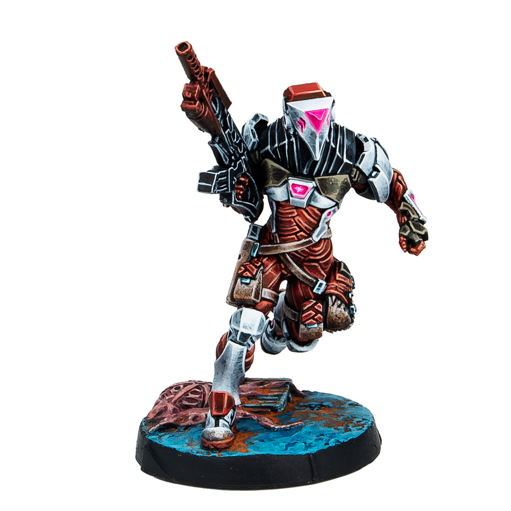 Stingers, Security Tactical Unit