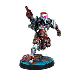 Stingers, Security Tactical Unit