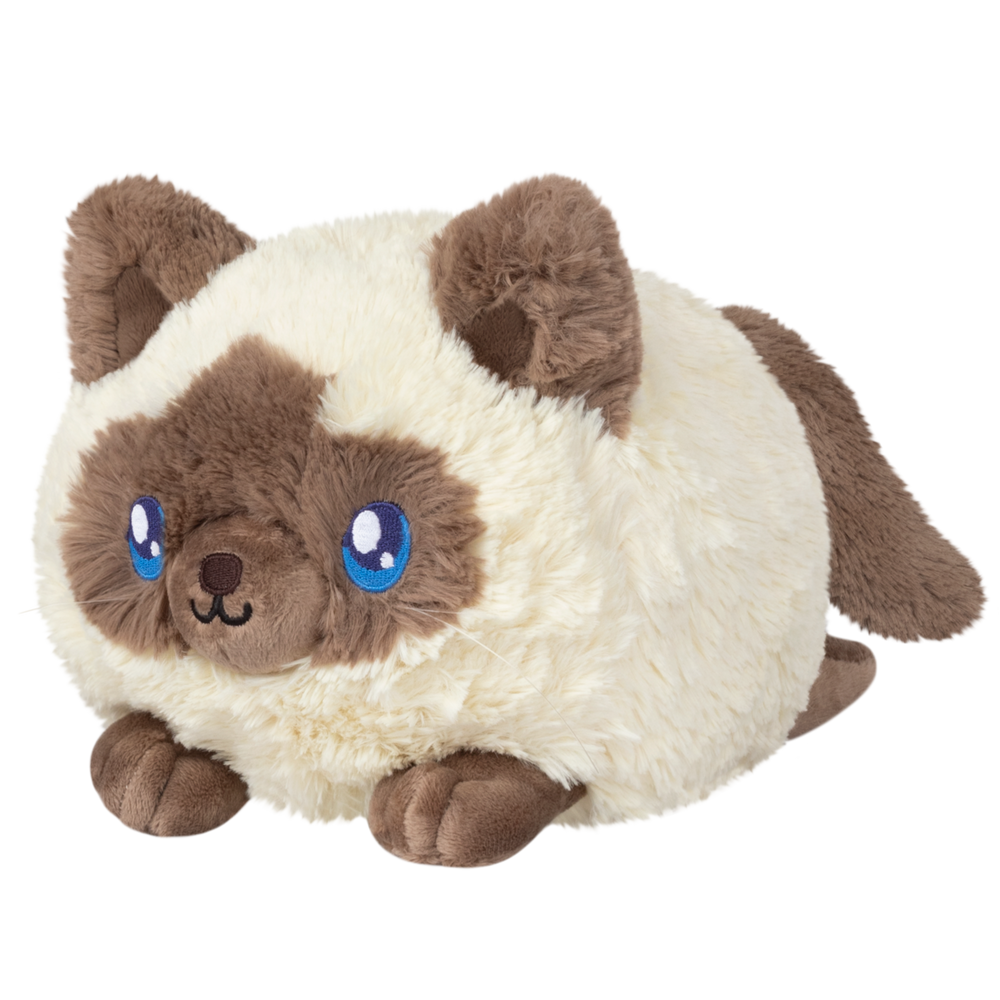 Squishable Colorpoint Kitty (Mini) (ONLINE ORDER ONLY)