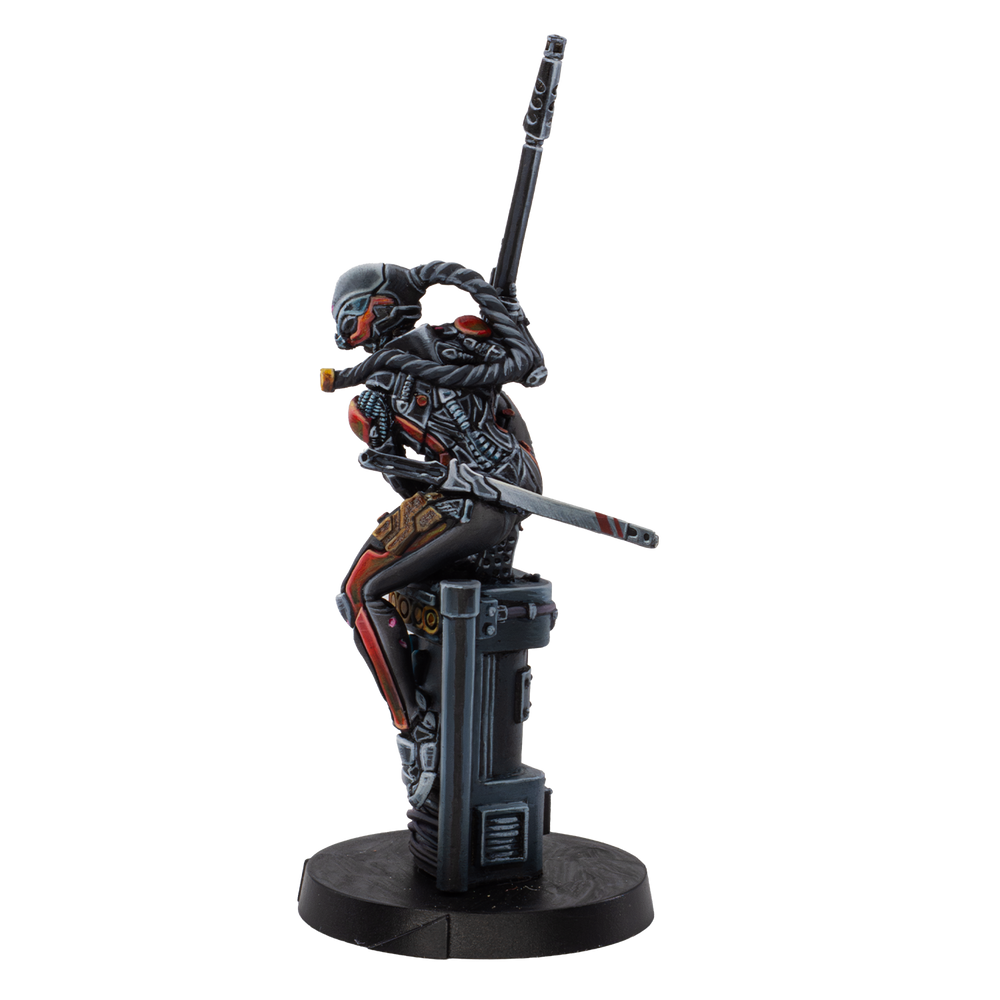 Ninjas (MULTI Sniper/Hacker) (ONLINE ORDER ONLY)