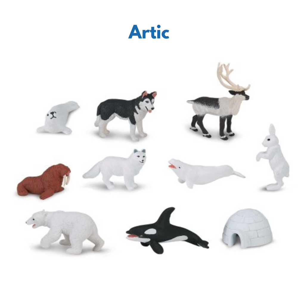 Continent Animal Miniatures: All 8  Sets (Includes Antarctica, Polar/Arctic) (ONLINE ORDER ONLY)
