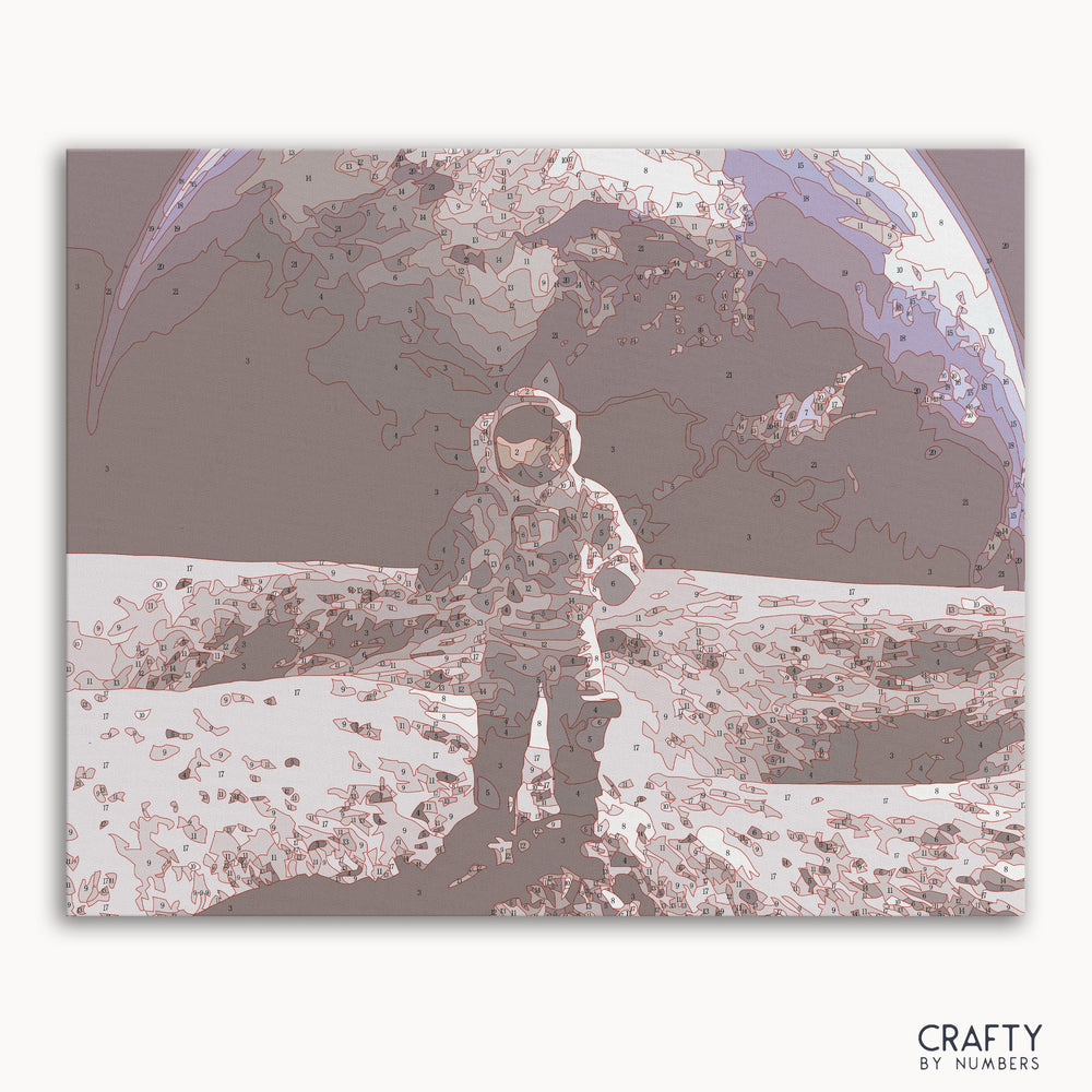 Walking on the Moon (ONLINE ORDER ONLY)