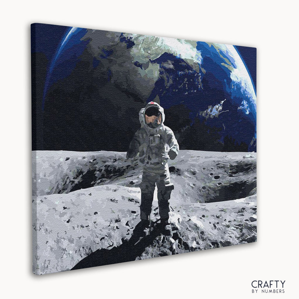Walking on the Moon (ONLINE ORDER ONLY)