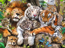 Puzzle: Big Cat Nap (ONLINE ORDER ONLY)