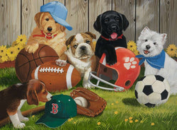 Puzzle: Let's Play Ball! (ONLINE ORDER ONLY)