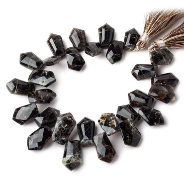12x8-17x10mm Rapid City Jasper top drilled Faceted Shield beads 8 inch 28 pieces AAA (ONLINE ORDER ONLY)