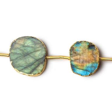12x8-20x18mm Gold Leafed Labradorite Slice Strand 7 inch 7 beads (ONLINE ORDER ONLY)