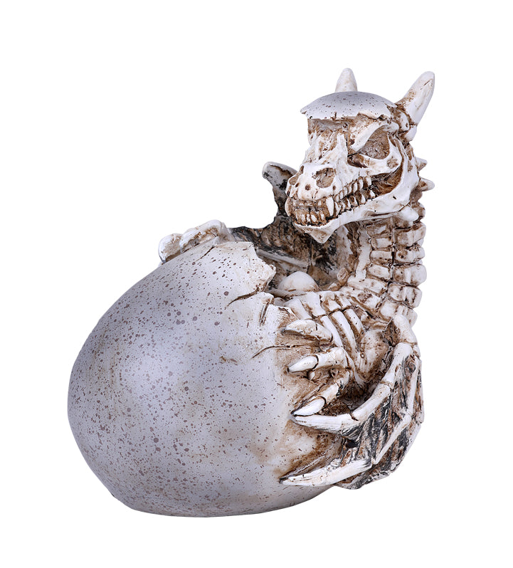 Skeleton Dragon Egg Hatching (ONLINE ORDER ONLY)