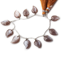 13x10-16x12mm Chocolate Brown Moonstone faceted leaf strand 11 beads AAA (ONLINE ORDER ONLY)
