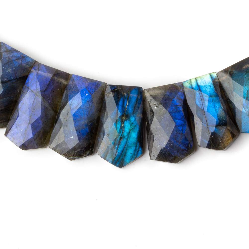 14x8-23x13mm Labradorite Faceted Fancy Cut Horizontal Collar 39 beads AA (ONLINE ORDER ONLY)