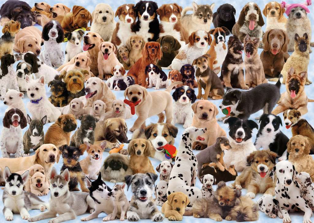 Puzzle: Dogs Galore (ONLINE ORDER ONLY)