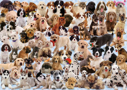 Puzzle: Dogs Galore (ONLINE ORDER ONLY)
