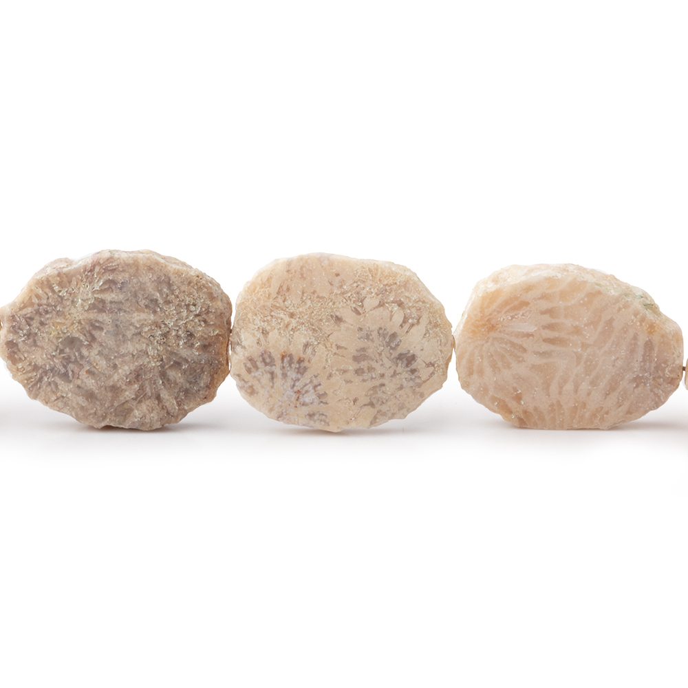 15x12mm Fossil Coral Straight Drilled Slice Beads 8 inch 13 pieces (ONLINE ORDER ONLY)