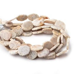 15x12mm Fossil Coral Straight Drilled Slice Beads 8 inch 13 pieces (ONLINE ORDER ONLY)
