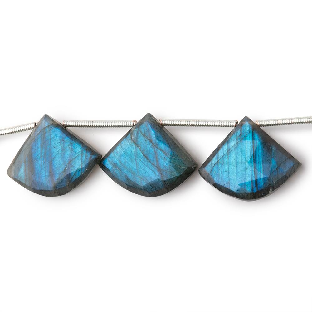 15x18-16x19mm Labradorite Faceted Fan Beads 7 inch 9 pieces (ONLINE ORDER ONLY)