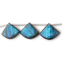 15x18-16x19mm Labradorite Faceted Fan Beads 7 inch 9 pieces (ONLINE ORDER ONLY)