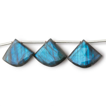 15x18-16x19mm Labradorite Faceted Fan Beads 7 inch 9 pieces (ONLINE ORDER ONLY)