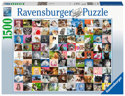 Puzzle: 99 Cats (ONLINE ORDER ONLY)