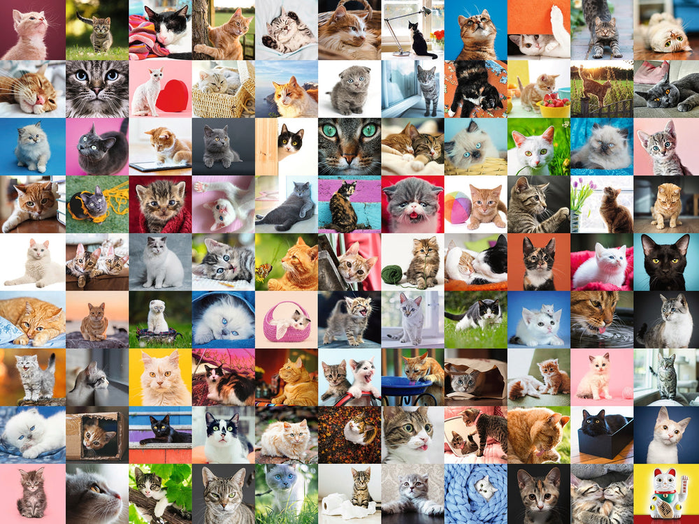 Puzzle: 99 Cats (ONLINE ORDER ONLY)
