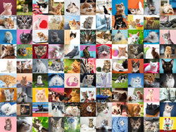 Puzzle: 99 Cats (ONLINE ORDER ONLY)