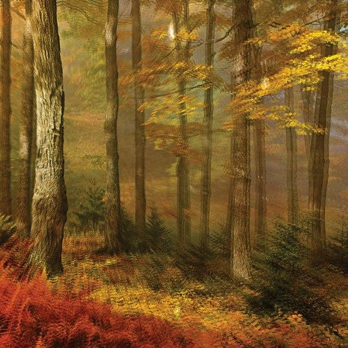 Deep Tissue [LP]