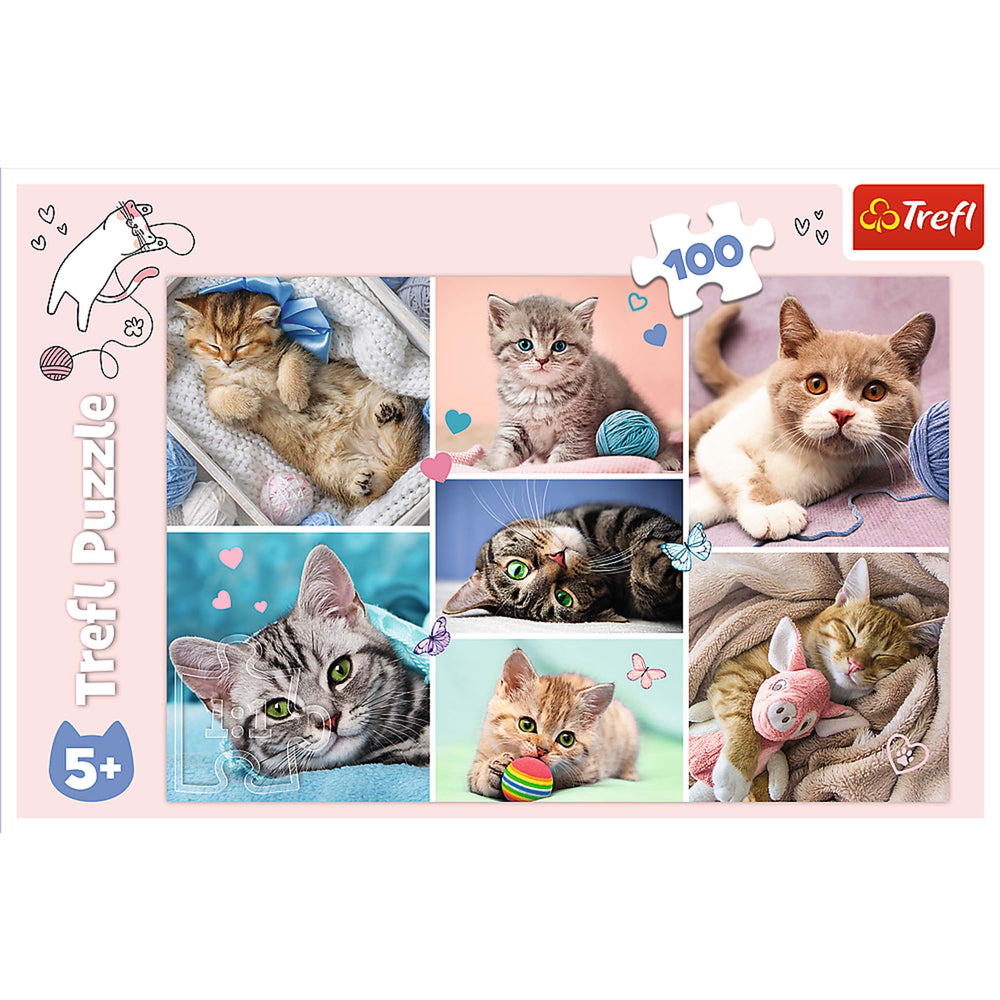 Trefl Red 100 Piece Kids Puzzle - In the cat world (ONLINE ORDER ONLY)