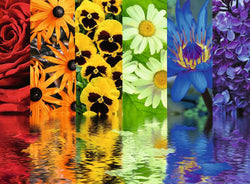 Puzzle: Floral Reflections (ONLINE ORDER ONLY)