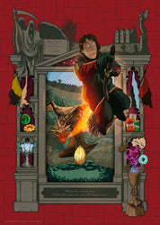 Puzzle: Harry Potter 4 (ONLINE ORDER ONLY)