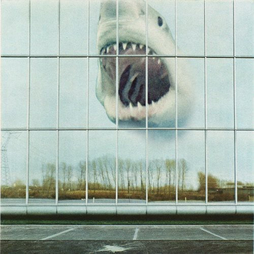 Wilderness Heart [LP]